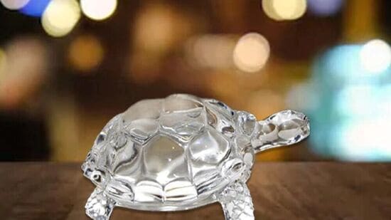 ಸಾಂಕೇತಿಕ ಚಿತ್ರ ಸಾಂಕೇತಿಕ ಚಿತ್ರ