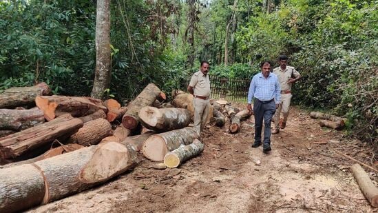 ಹಾಸನ ಜಿಲ್ಲೆಯ ಬೇಲೂರು ತಾಲ್ಲೂಕಿನ ಮರ ಕಡಿತಕ್ಕೆ ಸಂಬಂಧಿಸಿ ಅರಣ್ಯ ಇಲಾಖೆ ನಾಲ್ವರು ಅಧಿಕಾರಿಗಳನ್ನು ಅಮಾನತು ಮಾಡಲಾಗಿದೆ.