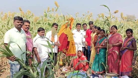 ಕಲಬುರಗಿ ಜಿಲ್ಲೆಯಲ್ಲಿ ಎಳ್ಳು ಅವಮಾಸ್ಯೆಯ ಸಡಗರದ ಕ್ಷಣ.