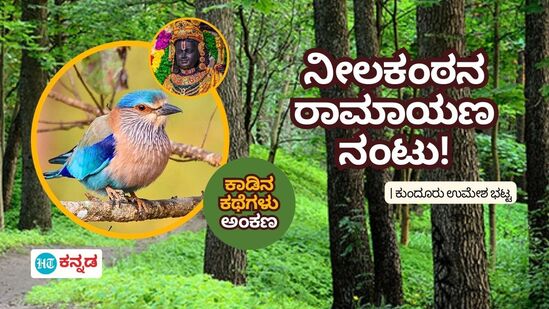 ಕರ್ನಾಟಕದ ರಾಜ್ಯ ಹಕ್ಕಿ ನೀಲಕಂಠನನ್ನು ರಾಮಮಂದಿರ ಉದ್ಘಾಟನೆ ದಿನದ ದರ್ಶನ ಮಾಡಿದ ಕ್ಷಣಗಳು ಉತ್ತರ ಭಾರತದಲ್ಲಿ ಕಂಡು ಬಂದವು.