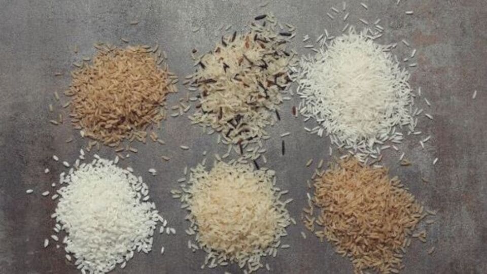 Type Of Rice ಬಿಳಿ, ಕೆಂಪು, ಕಂದು, ಕಪ್ಪು.. ಯಾವ ಬಣ್ಣದ ಅಕ್ಕಿ ಆರೋಗ್ಯಕ್ಕೆ