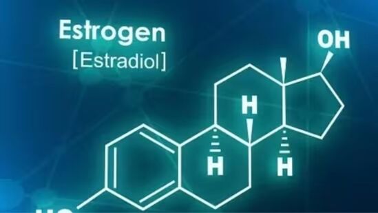 ಈಸ್ಟ್ರೋಜೆನ್‌ ಹಾರ್ಮೋನ್‌ ಗ್ಲುಕೋಸ್‌ ಮತ್ತು ಇನ್ಸುಲಿನ್‌ ತಯಾರಿಕೆಯಲ್ಲಿ ಮಹತ್ವದ ಪಾತ್ರ ವಹಿಸುತ್ತದೆ. ಈಸ್ಟ್ರೋಜೆನ್‌ನ ಮಟ್ಟದಲ್ಲಾಗುವ ಏರುಪೇರುಗಳು ದೇಹದಲ್ಲಿ ತೂಕ ಹೆಚ್ಚಾಗಲು ಕಾರಣವಾಗುಬಹುದು.&nbsp;