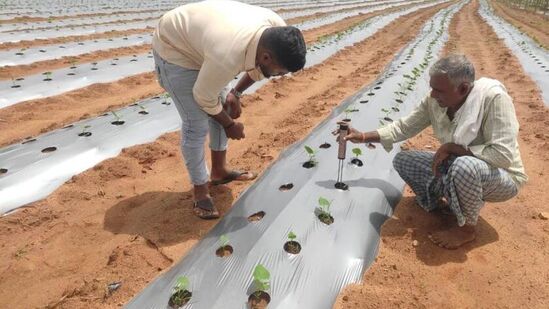 ರೈತರು ಬರ ಎದುರಿಸಲು ಸಹಕಾರಿಯಾಗುವ ಕರ್ನಾಟಕ ರೈತ ಸಮೃದ್ಧಿ ಯೋಜನೆ ಜಾರಿಗೊಳಿಸಲಾಗುತ್ತಿದೆ.