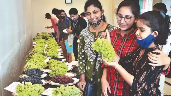 ವಿಜಯಪುರ ದ್ರಾಕ್ಷಿಯಿಂದ ಅತ್ಯುತ್ತಮ ದರ್ಜೆಯ ವೈನ್‌ ಕೂಡ ತಯಾರಿಸಲಾಗುತ್ತದೆ. ಕರ್ನಾಟಕ ವೈನ್‌ ಬೋರ್ಡ್‌ ಕೂಡ ವಿಜಯಪುರ ದ್ರಾಕ್ಷಿಗೆ ಒತ್ತು ನೀಡುವುದೂ ಇದೆ. ಅದರ ಸ್ವಾದ ಹಾಗೂ ರುಚಿ ಇದಕ್ಕೆ ಕಾರಣ.