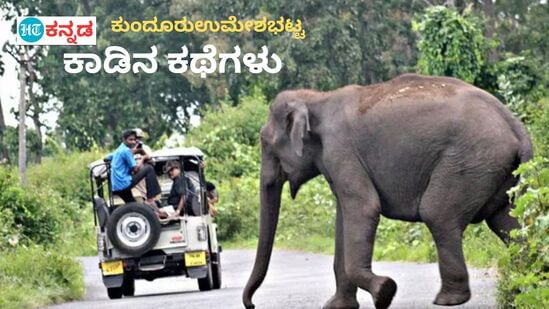 ಕಾಡಿಗೆ ಬರುವ ಪ್ರವಾಸಿಗರ ನಡವಳಿಕೆ ಕಾರಣದಿಂದ ವನ್ಯಜೀವಿಗಳ  ದಾಳಿ ಪ್ರಕರಣ ಹೆಚ್ಚುತ್ತಿವೆ.