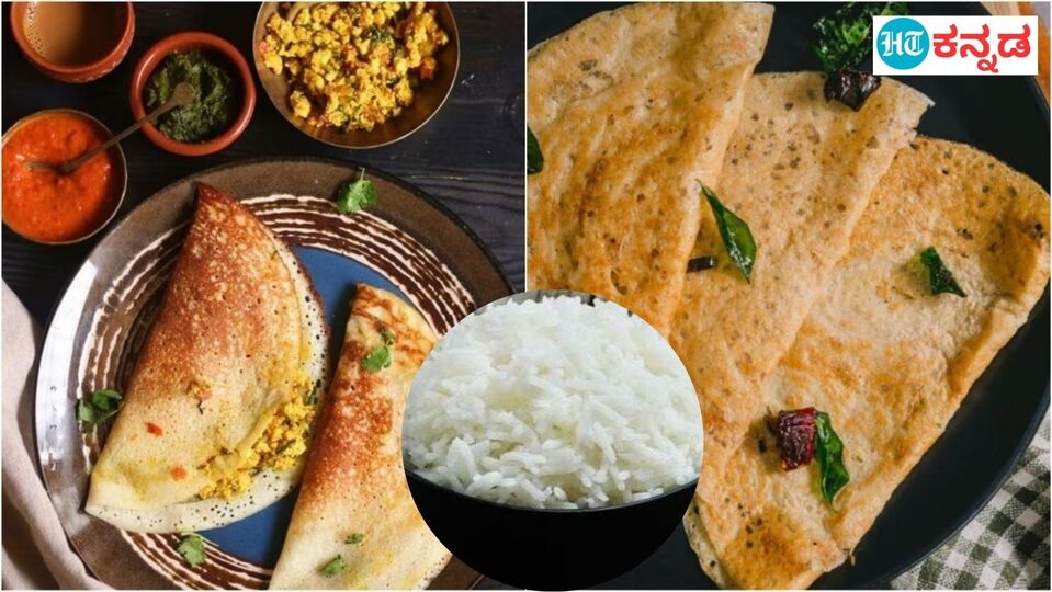 World Dosa Day ಅನ್ನ ಮಿಕ್ಕಿದೆ ಅಂತ ಎಸಿಯೋಕೆ ಹೋಗ್ಬೇಡಿ, ಇದ್ರಿಂದ ಎಷ್ಟೆಲ್ಲಾ