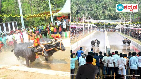 ಮಾಜಿ ಸಚಿವ ಬಿ.ರಮಾನಾಥ ರೈ ಸಾರಥ್ಯದಲ್ಲಿ ಬಂಟ್ವಾಳ ಕಂಬಳ ಎಂದೇ ಪ್ರಸಿದ್ಧವಾಗಿರುವ ಮುಡೂರು-ಪಡೂರು ಜೋಡುಕರೆ ಕಂಬಳ ದಕ್ಷಿಣ ಕನ್ನಡ ಜಿಲ್ಲೆಯ ಬಂಟ್ವಾಳ ತಾಲೂಕಿನ ನಾವೂರು ಕುಡಿಬೈಲಿನಲ್ಲಿ ನಡೆಯಿತು. ಈ ಸಂದರ್ಭ ಸಚಿವ ದಿನೇಶ್ ಗುಂಡೂರಾವ್, ಚಿತ್ರನಟ ಪ್ರಜ್ವಲ್ ದೇವರಾಜ್ ಸಹಿತ ಪ್ರಮುಖ ಗಣ್ಯರು ಹಾಜರಿದ್ದರು. ಪಿಯೂಸ್ ಎಲ್ ರೋಡ್ರಿಗಸ್, ಚಂದ್ರಪ್ರಕಾಶ್ ಶೆಟ್ಟಿ, ಪದ್ಮಶೇಖರ ಜೈನ್ ಮುಂದಾಳತ್ವದಲ್ಲಿ ಕಂಬಳ ಹೊನಲು ಬೆಳಕಿನಲ್ಲಿ ವಿಜೃಂಭಣೆಯಿಂದ ನಡೆಯಿತು. ಇದರ ಫಲಿತಾಂಶದ ವಿವರ ಹೀಗಿದೆ.
