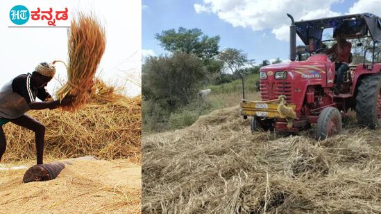 ಸುಗ್ಗಿಯ ಸಮಯ. ರಸ್ತೆಗಳೆಲ್ಲಾ ಒಕ್ಕಣೆಯಿಂದ ಅಯೋಮಯ. ಸುಗ್ಗಿಯ ಸಮಯ. ರಸ್ತೆಗಳೆಲ್ಲಾ ಒಕ್ಕಣೆಯಿಂದ ಅಯೋಮಯ.