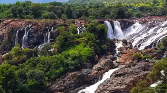 ಕಾವೇರಿ ನದಿ ಜಲಪಾತವಾಗಿ ಧುಮುಕುವ ತಾಣವಿದು. ಇಲ್ಲಿ ಗಗನ ಚುಕ್ಕಿ ಹಾಗೂ ಭರಚುಕ್ಕಿ ಜಲಪಾತಗಳಿವೆ. ಮಂಡ್ಯ ಹಾಗೂ ಚಾಮರಾಜನಗರ ಜಿಲ್ಲೆಯಲ್ಲಿ ಈ ತಾಣಗಳು ಹಂಚಿ ಹೋಗಿವೆ. &nbsp;ಇಲ್ಲಿಯೂ ಆಟವಾಡಲು, ದಿನ ಕಳೆಯಲು ಒಳ್ಳೆಯ ಪರಿಸರವಿದೆ.&nbsp;