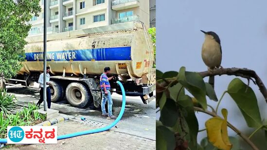 ಬೆಂಗಳೂರಿನಲ್ಲಿ ನೀರಿನ ಸಮಸ್ಯೆ ಬಿಸಿ ಹಕ್ಕಿಗಳಿಗೂ ಈ ಬಾರಿ ತಟ್ಟಿದೆ. ಬೆಂಗಳೂರಿನಲ್ಲಿ ನೀರಿನ ಸಮಸ್ಯೆ ಬಿಸಿ ಹಕ್ಕಿಗಳಿಗೂ ಈ ಬಾರಿ ತಟ್ಟಿದೆ.