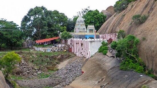 ರಾಮನಗರದ ರಾಮದೇವರ ಬೆಟ್ಟ: ಪುರಾಣ ಪ್ರಸಿದ್ಧವಾದ ರಾಮನಗರದ ರಾಮದೇವರ ಬೆಟ್ಟವು ಬೆಂಗಳೂರಿನಿಂದ 50 ಕಿಮೀ ದೂರದಲ್ಲಿದೆ. ಹಿಂದೂಗಳ ಪ್ರಮುಖ ಧಾರ್ಮಿಕ ಕೇಂದ್ರಗಳಲ್ಲಿ ಒಂದಾಗಿರುವ ಈ ಬೆಟ್ಟವು ಸಮುದ್ರಮಟ್ಟಕ್ಕಿಂತ 4000 ಅಡಿ ಎತ್ತರದಲ್ಲಿದ್ದು, ಬೆಟ್ಟದ ಮೇಲಿರುವ ಪಟ್ಟಾಭಿರಾಮ ದೇಗುಲ ಇಲ್ಲಿನ ಆಕರ್ಷಿಣೀಯ ಕೇಂದ್ರವಾಗಿದೆ. ವಿಜಯನಗರ ಸಾಮ್ರಾಜ್ಯದ ರಾಜರ ಮಾರ್ಗದರ್ಶನದಲ್ಲಿ ಸಾಮಂತರಾಗಿದ್ದ ಕೆಂಪೇಗೌಡರೇ ಈ ದೇವಾಲಯವನ್ನು ಕಟ್ಟಿಸಿದ್ದರೆಂದು ಹೇಳಲಾಗುತ್ತದೆ. ಇಲ್ಲಿ ಕಪ್ಪುಶಿಲೆಯ ವಿಗ್ರಹದಲ್ಲಿ ಪಟ್ಟಾಭಿರಾಮ ಭಕ್ತರಿಗೆ ದರ್ಶನ ನೀಡುತ್ತಾನೆ. ಪಟ್ಟಾಭಿರಾಮ ದೇಗುಲ ಮಾತ್ರವಲ್ಲದೆ ಇಲ್ಲಿ ರಾಮೇಶ್ವರ ದೇಗುಲವೂ ಇದೆ.&nbsp;