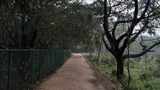 ಮೈಸೂರಿನಲ್ಲಿ ಶುಕ್ರವಾರ ರಾತ್ರಿ ನಿರಂತರ ಮಳೆ. ಮಧ್ಯರಾತ್ರಿವರೆಗೂ ಮಳೆ ಗುಡುಗು. ಸಿಡಿಲು, ಮಿಂಚಿನೊಂದಿಗೆ ಸುರಿಯಿತು. ಶನಿವಾರ ಬೆಳಿಗ್ಗೆ ಕುಕ್ಕರಹಳ್ಳಿ ಕೆರೆ ಬೆಳಗಿನ ವಾಯುವಿಹಾರದ ವಾತಾವರಣ ಆಹ್ಲಾದಕರವಾಗಿದ್ದು ಕಂಡು ಬಂದಿತು.