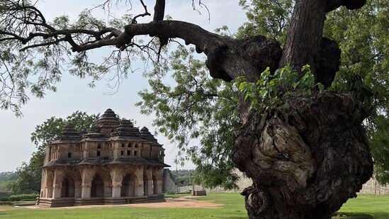 ಹಂಪಿಯ ಹದಿನಾರು ಕಾಲು ಮಂಟಪದ ಆವರಣವಂತೂ ಹಚ್ಚ ಹಸುರಾಗಿ ಪ್ರವಾಸಿಗರನ್ನು ಸೆಳೆಯುತ್ತಿದೆ. ಕರ್ನಾಟಕದ ಇತಿಹಾಸದಲ್ಲಿ ಬಂಗಾರದ ಯುಗದ ಕಥೆಯನ್ನು ಕೇಳಿ ಎಂದು ಹೇಳುತ್ತಿದೆ.&nbsp;