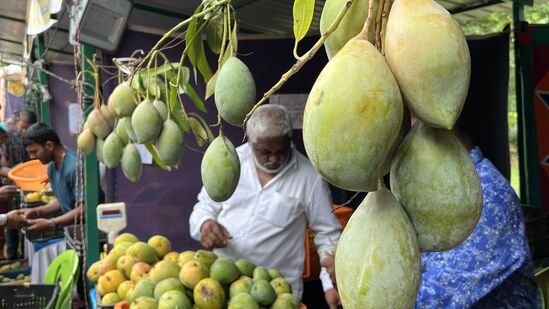 &nbsp;ಮೈಸೂರು, ರಾಮನಗರ, ಮಂಡ್ಯ ಜಿಲ್ಲೆಗಳಿಂದ ಆಗಮಿಸಿರುವ ರೈತರು, ಮಾರಾಟಗಾರರು ವಿವಿಧ ತಳಿಯ ಮಾವಿನ ಹಣ್ಣುಗಳನ್ನು ಮಾರಾಟ ಮಾಡುತ್ತಿರುವುದು ಕಂಡು ಬಂದಿದೆ. ಖರೀದಿ ಭರಾಟೆಯೂ ಜೋರಾಗಿದೆ.&nbsp;