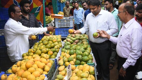 ರೈತರಿಂದ ನೇರವಾಗಿ ಗ್ರಾಹಕರು ಖರೀದಿಸಲಿ ಎಂಬ ಕಾರಣಕ್ಕೆ ಈ ಮೇಳ ಆಯೋಜಿಸಲಾಗಿದೆ. ಮಾರುಕಟ್ಟೆಯಲ್ಲಿ ಮಾವು ಖರೀದಿ ಮಾಡಲು ಹಿಂಜರಿಯುವ ಗ್ರಾಹಕರು ಇಲ್ಲಿಗೆ ಬಂದು ಕೊಳ್ಳಬಹುದು ಎನ್ನುವುದು ಮೇಳಕ್ಕೆ ಚಾಲನೆ ನೀಡಿದ ಮೈಸೂರು ಡಿಸಿ ಡಾ.ಕೆ.ವಿ.ರಾಜೇಂದ್ರ ಅಭಿಪ್ರಾಯ.