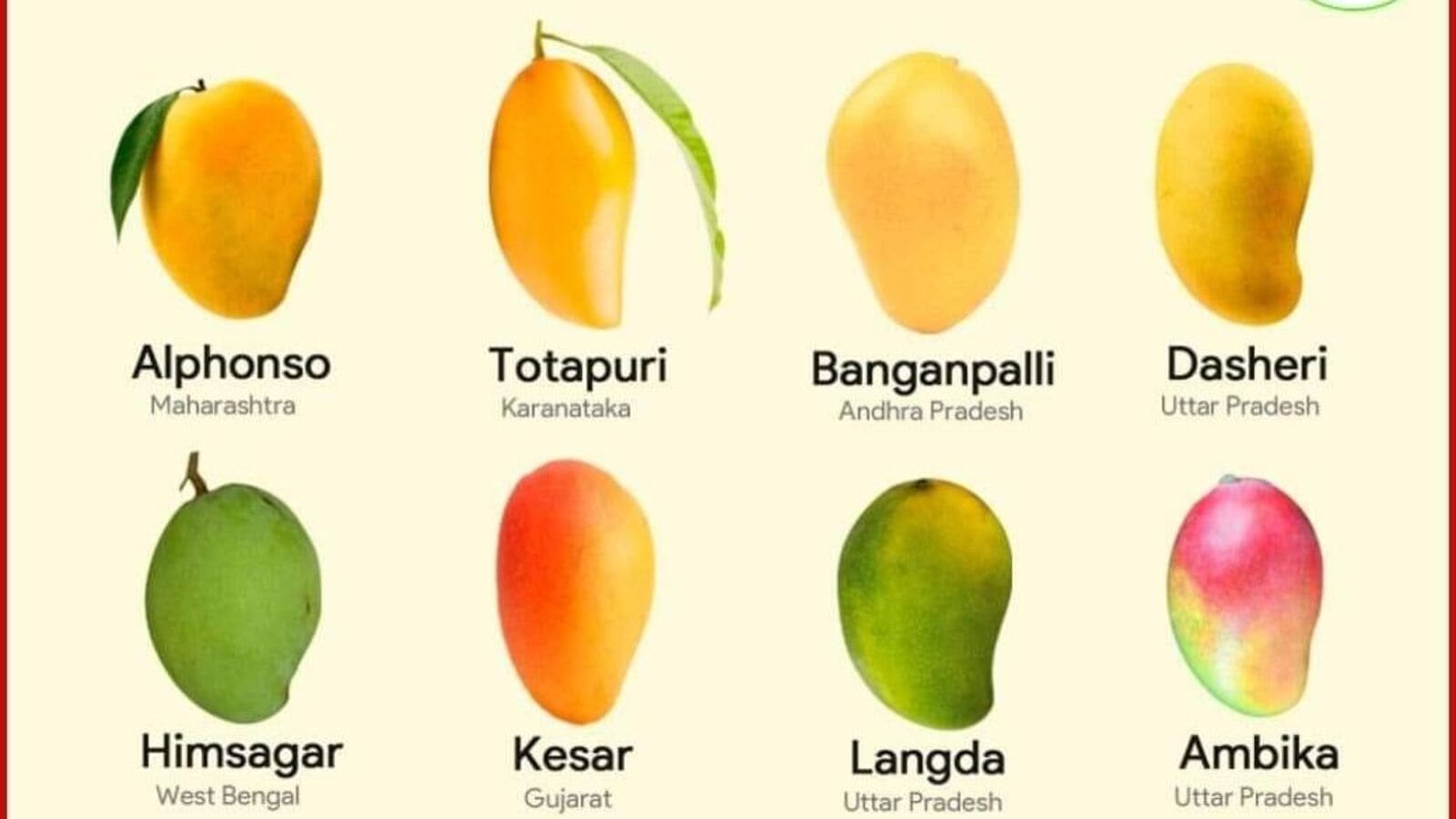 Mango: ಭಾರತದಲ್ಲಿರುವ ಮಾವಿನ ತಳಿಗಳ ಸಂಖ್ಯೆ ಎಷ್ಟಿರಬಹುದು, ಬಳಕೆ ಪ್ರಮಾಣ ಎಷ್ಟು?