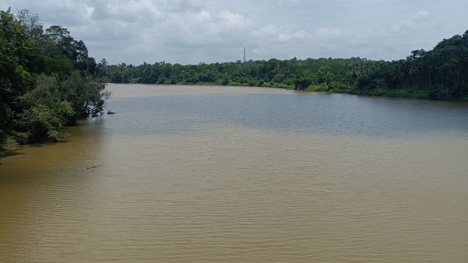 Karnataka Rains: ಮುಂದಿನ 4 ದಿನ ಕರ್ನಾಟಕದಲ್ಲಿ ಭಾರೀ ಮಳೆ, ಮುಂಗಾರು ಪ್ರವೇಶಕ್ಕೂ ಮುನ್ನ ಮಳೆ ಅಬ್ಬರ