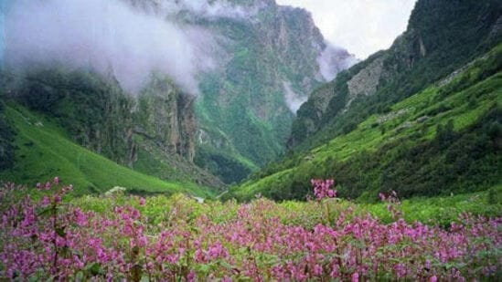 ಪುಷ್ಪಕಣಿವೆ ರಾಷ್ಟ್ರೀಯ ಉದ್ಯಾನವು(nanda devi national park) ಭಾರತದ ಉತ್ತರಾಖಂಡ ರಾಜ್ಯದಲ್ಲಿರುವ ಒಂದು ರಾಷ್ಟ್ರೀಯ ಉದ್ಯಾನ. ಪಶ್ಚಿಮ ಹಿಮಾಲಯದ ಉನ್ನತ ಪ್ರದೇಶದಲ್ಲಿರುವ ಈ ಉದ್ಯಾನವು ಅದ್ಭುತ ಪ್ರಕೃತಿ ಸೌಂದರ್ಯಕ್ಕೆ ಹೆಸರಾಗಿದ್ದು ನೂರಾರು ಬಗೆಯ ಹೂವುಗಳ ಬೃಹತ್ ನೈಸರ್ಗಿಕ ತೋಟವಾಗಿದೆ. ನಂದಾದೇವಿ ರಾಷ್ಟ್ರೀಯ ಉದ್ಯಾನವು ಭಾರತದ ಉತ್ತರಾಖಂಡ ರಾಜ್ಯದಲ್ಲಿದೆ. ಇದು ನಂದಾದೇವಿ ಪರ್ವತದ ಆಸುಪಾಸಿನ ಪ್ರದೇಶಗಳನ್ನು ಒಳಗೊಂಡಿದೆ. 1982ರಲ್ಲಿ ರಾಷ್ಟ್ರೀಯ ಉದ್ಯಾನವಾಗಿ ಘೋಷಿಸಲ್ಪಟ್ಟ ನಂದಾದೇವಿ ರಾಷ್ಟ್ರೀಯ ಉದ್ಯಾನವು 1988ರಲ್ಲಿ ಯುನೆಸ್ಕೋದಿಂದ ವಿಶ್ವ ಪರಂಪರೆಯ ತಾಣವಾಗಿ ಹೆಸರಿಸಲ್ಪಟ್ಟಿತು