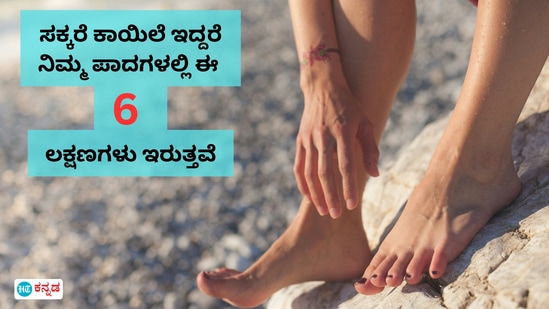 Diabetic Foot: ರಕ್ತದಲ್ಲಿ ಸಕ್ಕರೆ ಅಧಿಕವಾಗಿದ್ದರೆ ಪಾದಗಳ ಮೇಲೆ ಕೆಟ್ಟ ಪರಿಣಾಮ Diabetic Foot: ರಕ್ತದಲ್ಲಿ ಸಕ್ಕರೆ ಅಧಿಕವಾಗಿದ್ದರೆ ಪಾದಗಳ ಮೇಲೆ ಕೆಟ್ಟ ಪರಿಣಾಮ