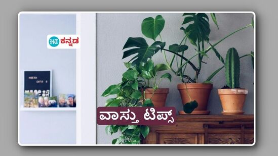 ನಮ್ಮ ಕಷ್ಟಗಳಿಗೆ ನಾವೇ ಪರಿಹಾರ ಹುಡುಕೋಣ; ಆಹಾರ ಹೇಗೆ ಸೇವಿಸಬೇಕು, ಮನೆಯಲ್ಲಿ ಯಾವ ರೀತಿ ಗಿಡ ಬೆಳೆಸಬೇಕು? ಇಲ್ಲಿದೆ ವಾಸ್ತು ಟಿಪ್ಸ್‌