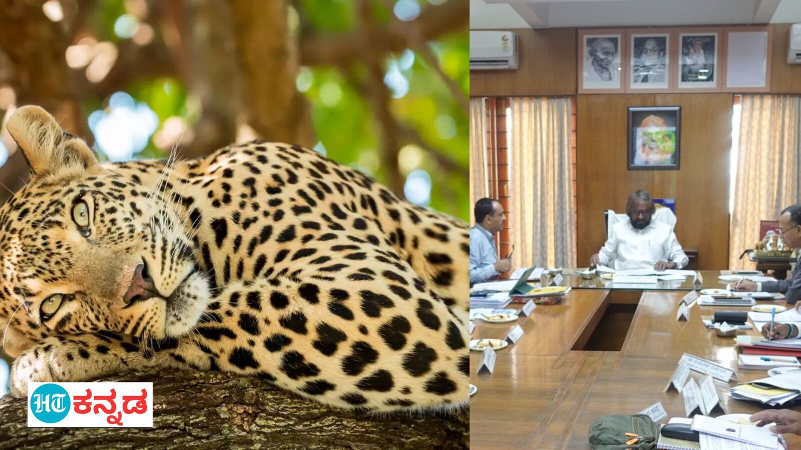 Bannerghatta Leopard Safari: ಜೂನ್‌ ಅಂತ್ಯಕ್ಕೆ ಬನ್ನೇರುಘಟ್ಟದಲ್ಲಿ ಚಿರತೆ ಸಫಾರಿ, ಮೈಸೂರಿನ ಕಾರಂಜಿ ಕೆರೆಯಲ್ಲಿ ಮತ್ಯ್ಸಾಗಾರ ನಿರ್ಮಾಣ