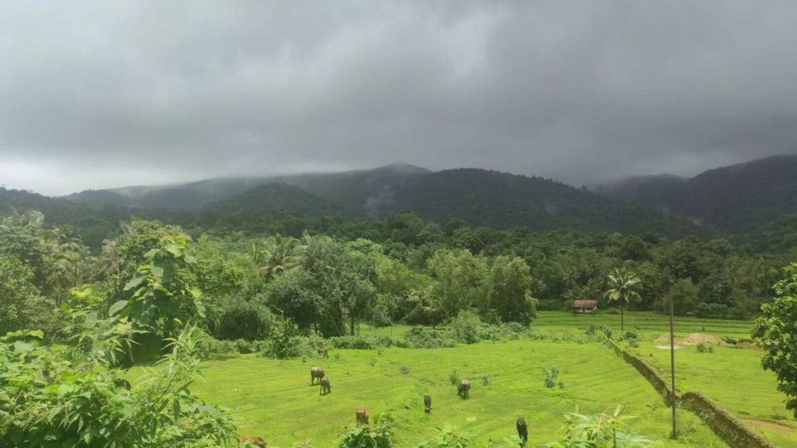 Karnataka Rains: ಕರ್ನಾಟಕದ 18 ಜಿಲ್ಲೆಗಳಲ್ಲಿ ಇಂದು, ನಾಳೆ ಭಾರೀ ಮಳೆ ಮುನ್ಸೂಚನೆ, ರೆಡ್‌ ಅಲರ್ಟ್‌