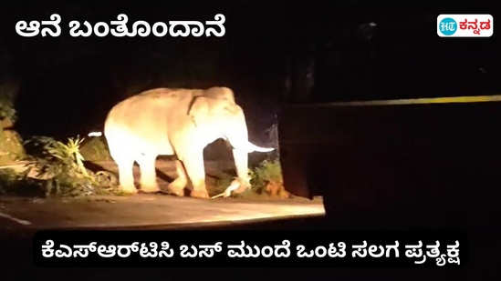 ಚಾರ್ಮಾಡಿ ಘಾಟಿಯಲ್ಲಿ ಸರಕಾರಿ ಬಸ್‌ಗೆ ಅಡ್ಡ ಬಂದ ಒಂಟಿಸಲಗ