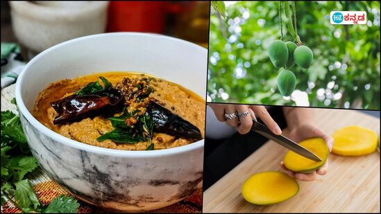 ಮಾವಿನಕಾಯಿ ಬಳಸಿ ತಯಾರಿಸುವ ಕೊಂಕಣಿ ಶೈಲಿಯ ಪ್ರಸಿದ್ಧ ಭಕ್ಷ್ಯಗಳಿವು ಮಾವಿನಕಾಯಿ ಬಳಸಿ ತಯಾರಿಸುವ ಕೊಂಕಣಿ ಶೈಲಿಯ ಪ್ರಸಿದ್ಧ ಭಕ್ಷ್ಯಗಳಿವು