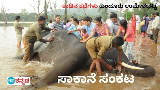 ಕರ್ನಾಟಕದ ಸಾಕಾನೆ ಶಿಬಿರಗಳು ಸಂಕಟದ ತಾಣಗಳಾಗಿವೆ.