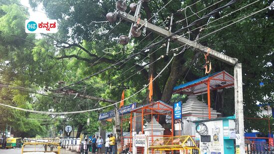 ತುಮಕೂರು ಮಳೆ ಅವಾಂತರ; ರಸ್ತೆ ಮೇಲೆ ಬಿದ್ದ ಮರಗಳು ವಿದ್ಯುತ್‌ ಕಂಬಗಳು, ಬೆಸ್ಕಾಂ ಸಿಬ್ಬಂದಿಯಿಂದ ತೆರವು