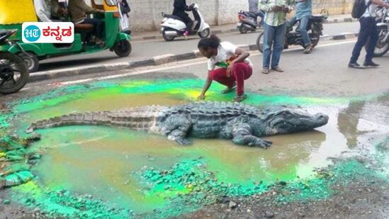 ಬೆಂಗಳೂರಿನಲ್ಲಿ ರಸ್ತೆ ಗುಂಡಿಯಲ್ಲಿ ಈ ರೀತಿ (2015ರ ಚಿತ್ರ) ಪ್ರತಿಭಟನೆಗಳನ್ನು ವ್ಯಕ್ತಪಡಿಸಬೇಕಾಗಿಲ್ಲ. ಬೆಂಗಳೂರು ರಸ್ತೆ ಗುಂಡಿ ಫೋಟೋ ಕ್ಲಿಕ್ಕಿಸಿ ಅಪ್ಲೋಡ್ ಮಾಡಿ, ಶೀಘ್ರವೇ ಬಿಡುಗಡೆಯಾಗಲಿದೆ ಬಿಬಿಎಂಪಿ PACE ಆಪ್ . (ಕಡತ ಚಿತ್ರ) ಬೆಂಗಳೂರಿನಲ್ಲಿ ರಸ್ತೆ ಗುಂಡಿಯಲ್ಲಿ ಈ ರೀತಿ (2015ರ ಚಿತ್ರ) ಪ್ರತಿಭಟನೆಗಳನ್ನು ವ್ಯಕ್ತಪಡಿಸಬೇಕಾಗಿಲ್ಲ. ಬೆಂಗಳೂರು ರಸ್ತೆ ಗುಂಡಿ ಫೋಟೋ ಕ್ಲಿಕ್ಕಿಸಿ ಅಪ್ಲೋಡ್ ಮಾಡಿ, ಶೀಘ್ರವೇ ಬಿಡುಗಡೆಯಾಗಲಿದೆ ಬಿಬಿಎಂಪಿ PACE ಆಪ್ . (ಕಡತ ಚಿತ್ರ)