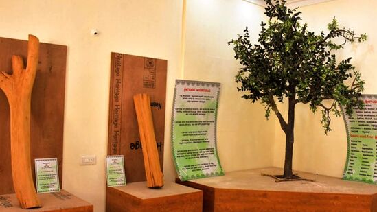 ಮೈಸೂರಿನಲ್ಲಿ ದೇಶದ ಪ್ರಥಮ ಶ್ರೀಗಂಧ ಮ್ಯೂಸಿಯಂ ನಾಲ್ಕು ವರ್ಷದ ಹಿಂದೆ ಕರ್ನಾಟಕ ಅರಣ್ಯ ಇಲಾಖೆ ಸಹಭಾಗಿತ್ವದಲ್ಲಿ ಆರಂಭಗೊಂಡಿತು.
