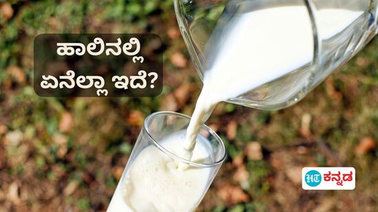 ಹಾಲಿನ ರಾಸಾಯನಿಕ ವಿಶ್ಲೇಷಣೆ: ಪೋಷಕಾಂಶಗಳ ಭಂಡಾರ ಹಾಲಿನಲ್ಲಿ ಏನಿದೆ? ಹಾಲೇಕೆ ಮೊಸರಾಗುತ್ತೆ? -ಜ್ಞಾನ ವಿಜ್ಞಾನ ಅಂಕಣ