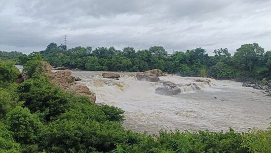 ಕೊಡಗಿನಲ್ಲಿ ಮಳೆ ಪ್ರಮಾಣ ದಿನದಿಂದ ದಿನಕ್ಕೆ ಏರುತ್ತಿರುವುದರಿಂದ ಚುಂಚನಕಟ್ಟೆ ಜಲಪಾತದಲ್ಲೂ ಮಂಗಳವಾರ ನೀರಿನ ಪ್ರಮಾಣ ಏರಿಕೆ ಕಂಡಿತು.