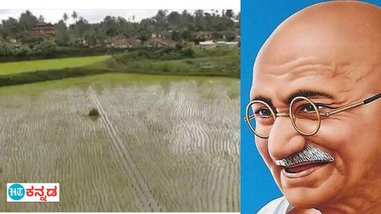 ಕೊಡಗಿನಲ್ಲಿರುವ ಗಾಂಧಿ ಗದ್ದೆ ನೋಟ.