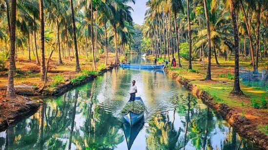 ಶರಾವತಿ ಹಿನ್ನೀರು, ಹೊನ್ನಾವರ//&nbsp;ಇದು ಸಂಪೂರ್ಣವಾಗಿ ಈಗಲೂ &nbsp;ಗುಪ್ತ ರತ್ನದಂತಹ ಪ್ರವಾಸಿ ತಾಣ, ಪ್ರವಾಸಿಗರಿಗೆ ಅದ್ಭುತವಾದ ಅನುಭವವನ್ನು ನೀಡುತ್ತದೆ. ಹಸಿರು ಮ್ಯಾಂಗ್ರೋವ್ ಅರಣ್ಯ, ಸುಂದರವಾದ ಸೂರ್ಯಾಸ್ತವನ್ನು ಅನ್ವೇಷಿಸಲು ಉತ್ತಮ ಸ್ಥಳ. ಕಾರವಾರದಿಂದ 92 ಕಿ. ಮೀ. ಕುಮಟಾದಿಂದ – 22 ಕಿ.ಮೀ ದೂರದಲ್ಲಿದೆ ಈ ತಾಣ.