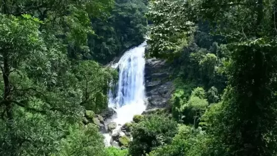 ಮಂಜೇಹಳ್ಳಿ ಜಲಪಾತ//ಸಕಲೇಶಪುರ ತಾಲ್ಲೂಕು ಹಸಿರು ಶ್ರೇಣಿಯ ಜತೆಗೆ ಜಲಪಾತಕ್ಕೂ ಹೆಸರುವಾಸಿ. ಮಂಜೇಹಳ್ಳಿ ಜಲಪಾತವು 20 ಅಡಿ ಉದ್ದದ ಜಲಪಾತವಾಗಿದ್ದು, ಸಕಲೇಶಪುರದಿಂದ 8 ಕಿಮೀ ದೂರದಲ್ಲಿ ಹಚ್ಚ ಹಸಿರಿನ ಬೆಟ್ಟಗಳ ನಡುವೆ ನೆಲೆಗೊಂಡಿದೆ. ಸ್ಥಳೀಯವಾಗಿ 20 ಅಡಿ ಎತ್ತರದಿಂದ ಧುಮ್ಮಿಕ್ಕುವ ಅಬ್ಬಿ ಜಲಪಾತವು ಮಳೆಗಾಲದಲ್ಲಿ ಭೇಟಿ ನೀಡಲು ಉತ್ತಮವಾಗಿದೆ. ಇದ ಸೌಂದರ್ಯವನ್ನು ಕಣ್ತುಂಬಿಕೊಳ್ಳಲು ಮಂಜೇಹಳ್ಳಿ ಜಲಪಾತಕ್ಕೆ ಪ್ರವಾಸಿಗರು ಬರುತ್ತಾರೆ. ಮಂಜೇಹಳ್ಳಿ ಜಲಪಾತವು ಸಕಲೇಶಪುರದ ಅತ್ಯಂತ ಸುಂದರವಾದ ಪ್ರವಾಸಿ ಸ್ಥಳಗಳಲ್ಲಿ ಒಂದು. ಸ್ವಂತ ವಾಹನದಲ್ಲಿ ಬಂದರೆ ಒಳ್ಳೆಯದು.