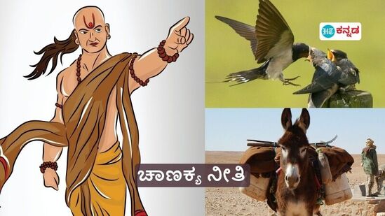 ಬುದ್ಧಿವಂತ ಪ್ರಾಣಿ ಎಂದು ಹೆಸರಾಗಿರುವ ಮನುಷ್ಯ ಪ್ರಾಣಿ ಪಕ್ಷಿಗಳಿಂದ ಕಲಿಯುವುದು ಸಾಕಷ್ಟಿದೆ; ಚಾಣಕ್ಯ ನೀತಿ