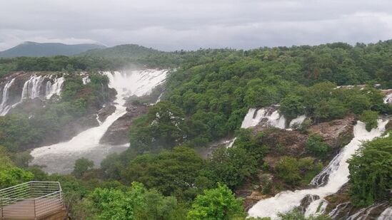 ಗಗನಚುಕ್ಕಿ ಜಲಪಾತ ವೀಕ್ಷಣೆಗೆ ಟವರ್‌ಗಳು ಇವೆ. ಅಲ್ಲಿಯೇ ನಿಂತು ಬೋರ್ಗರೆದು ಬೀಳುವ ಜಲಪಾತವನ್ನು ಕಣ್ತುಂಬಿಕೊಳ್ಳಬಹುದು. ಕೆಳಕ್ಕೆ ಹೋಗಲು ಅವಕಾಶವಿದ್ದರೂ ಮುನ್ನೆಚ್ಚರಿಕೆ ಅವಶ್ಯ.