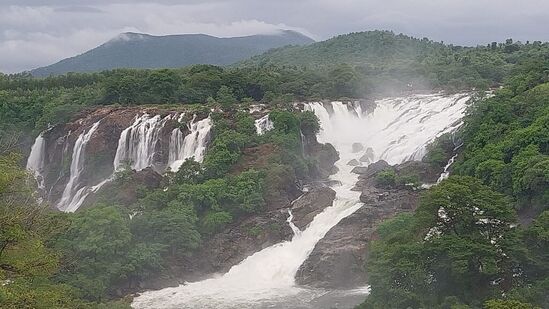 ಈ ಜಲಪಾತ ವೀಕ್ಷಣೆಗೆ ಬೆಂಗಳೂರು, ಮಂಡ್ಯ, ಮೈಸೂರು, ಚಾಮರಾಜನಗರದಿಂದ ಆಗಮಿಸಬಹುದು. ಮಳವಳ್ಳಿ ಹಾಗೂ ಕೊಳ್ಳೇಗಾಲ ಭಾಗದಿಂದ ಈ ಜಲಪಾತಕ್ಕೆ ಹೋಗಲು ಬಸ್‌ ವ್ಯವಸ್ಥೆಯಿದೆ.