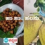 ತಿಪಟೂರಿನಲ್ಲಿ ಜನಾಕರ್ಷಿಸಿದ ಹಲಸಿನ ಹಬ್ಬ.