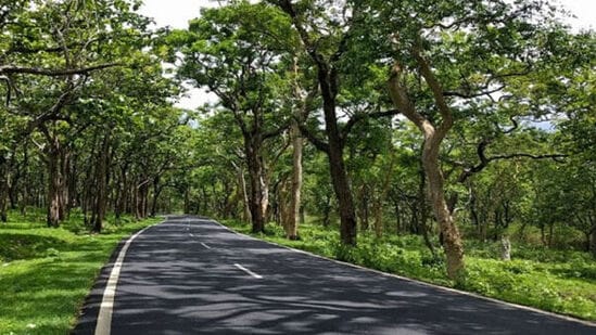 ಬಂಡೀಪುರ ಕರ್ನಾಟಕದ ಪ್ರಮುಖ ವನ್ಯಧಾಮ/ ರಾಷ್ಟ್ರೀಯ ಉದ್ಯಾನ/ ಹುಲಿ ಸಂರಕ್ಷಿತ ಪ್ರದೇಶ. &nbsp;ಎಲೆ ಉದುರುವ (Deciduous) ಅರಣ್ಯ ಪ್ರಕಾರವಾದ ಇಲ್ಲಿನ ಕಾಡು ಪ್ರತಿ ಋತುವಿಗೆ ತನ್ನ ಬಣ್ಣ ಬದಲಿಸುತ್ತದೆ. ಈಗ ಎಲ್ಲೆಡೆ ಹಸಿರುಮಯ,