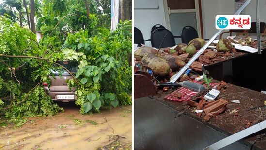 ಕರಾವಳಿ ಕರ್ನಾಟಕ ಹವಾಮಾನ; ಕರಾವಳಿಯಲ್ಲಿ ಮುಂದುವರಿದ ಗಾಳಿ ಮಳೆ, ಹಾನಿ ಗಂಭೀರ ಪ್ರಮಾಣದಲ್ಲಿದ್ದು, ಸುಂಟರಗಾಳಿ ಆತಂಕ ಮೂಡಿಸಿದೆ. ನಿಲ್ಲಿಸಿದ್ದ ಕಾರಿನ ಮೇಲೆ ಬಿದ್ದ ಮರ (ಎಡಚಿತ್ರ). ತೆಂಗಿನಮರ ಉರುಳಿ ಬಂಟ್ವಾಳ ಡಿವೈಎಸ್ಪಿ ಕಚೇರಿಗೆ ಹಾನಿಯಾಗಿದೆ. (ಬಲಚಿತ್ರ)