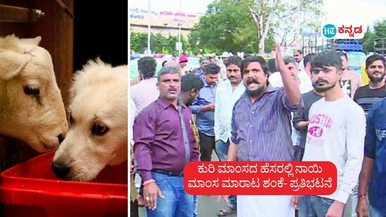 ಬೆಂಗಳೂರಿಗೆ ಕುರಿ ಮಾಂಸದ ಹೆಸರಲ್ಲಿ ನಾಯಿ ಮಾಂಸ ಪೂರೈಕೆ ಶಂಕೆ. ಪುನೀತ್ ಕೆರೆಹಳ್ಳಿ ತಂಡ ಪ್ರತಿಭಟನೆ ಕಾರಣ, ಸಿಟಿ ರೈಲ್ವೆ ನಿಲ್ದಾಣದಲ್ಲಿ 90 ಕಾರ್ಟನ್ ಮಾಂಸ ಪೊಲೀಸ್‌ ವಶ ಪಡಿಸಿಕೊಂಡರು.