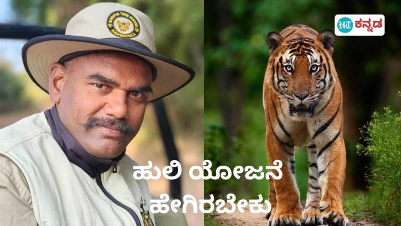 International Tiger Day 2024: ಕರ್ನಾಟಕದಲ್ಲಿ ಹುಲಿ ಯೋಜನೆ ವಿಸ್ತರಣೆ, 1300 ಹುಲಿಗಳ ಹೆಚ್ಚಕ್ಕೆ ಅವಕಾಶ ಉಂಟು, ಮೂರು ದಶಕದ ಕಾರ್ಯಯೋಜನೆ