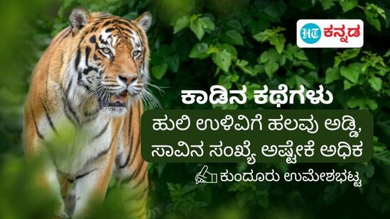 ಭಾರತದಲ್ಲಿ ಹುಲಿಗಳ ಸಾವಿನ ಸಂಖ್ಯೆ ದಶಕದ ಅವಧಿಯಲ್ಲಿ ಕೊಂಚ ಹೆಚ್ಚೇ ಇದೆ