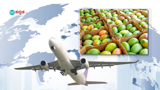 Mango Export; 60 ವಿದೇಶಿ ತಾಣಗಳಿಗೆ 882 ಮೆಟ್ರಿಕ್ ಟನ್ ಮಾವು ರಫ್ತು ಮಾಡಿ ಬೆಂಗಳೂರು ವಿಮಾನ ನಿಲ್ದಾಣ ದಾಖಲೆ ಬರೆದಿದೆ.