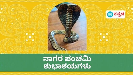 ಸಹೋದರರ ಒಳಿತನ್ನು ಕೋರುವ ಹಬ್ಬವಾದ್ದರಿಂದ ನಾಗರ ಪಂಚಮಿಯನ್ನು ಅಣ್ಣ-ತಂಗಿಯರ ಹಬ್ಬ ಎಂದೂ ಕರೆಯುತ್ತಾರೆ. ಈ ವಿಶೇಷ ದಿನದಂದು ಈ ಪೋಸ್ಟರ್‌ಗಳ ಮೂಲಕ ನಿಮ್ಮ ಪ್ರೀತಿ ಪಾತ್ರರಿಗೆ ವಿಶ್‌ ಮಾಡಿ.&nbsp;