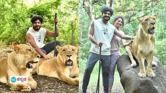 ಸ್ಯಾಂಡಲ್‌ವುಡ್‌ ಜೋಡಿ ವಸಿಷ್ಠ ಸಿಂಹ ಮತ್ತು ಹರಿಪ್ರಿಯಾ ದಂಪತಿ ಇದೀಗ ರಿಯಲ್‌ ಸಿಂಹಗಳ ಜತೆಗೆ ಕಾಣಿಸಿಕೊಂಡಿದ್ದಾರೆ.