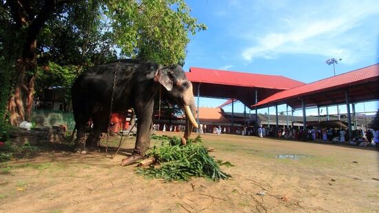 ಗುರುವಾಯೂರು ಶ್ರೀ ಕೃಷ್ಣ ದೇವಸ್ಥಾನ, ಗುರುವಾಯೂರು